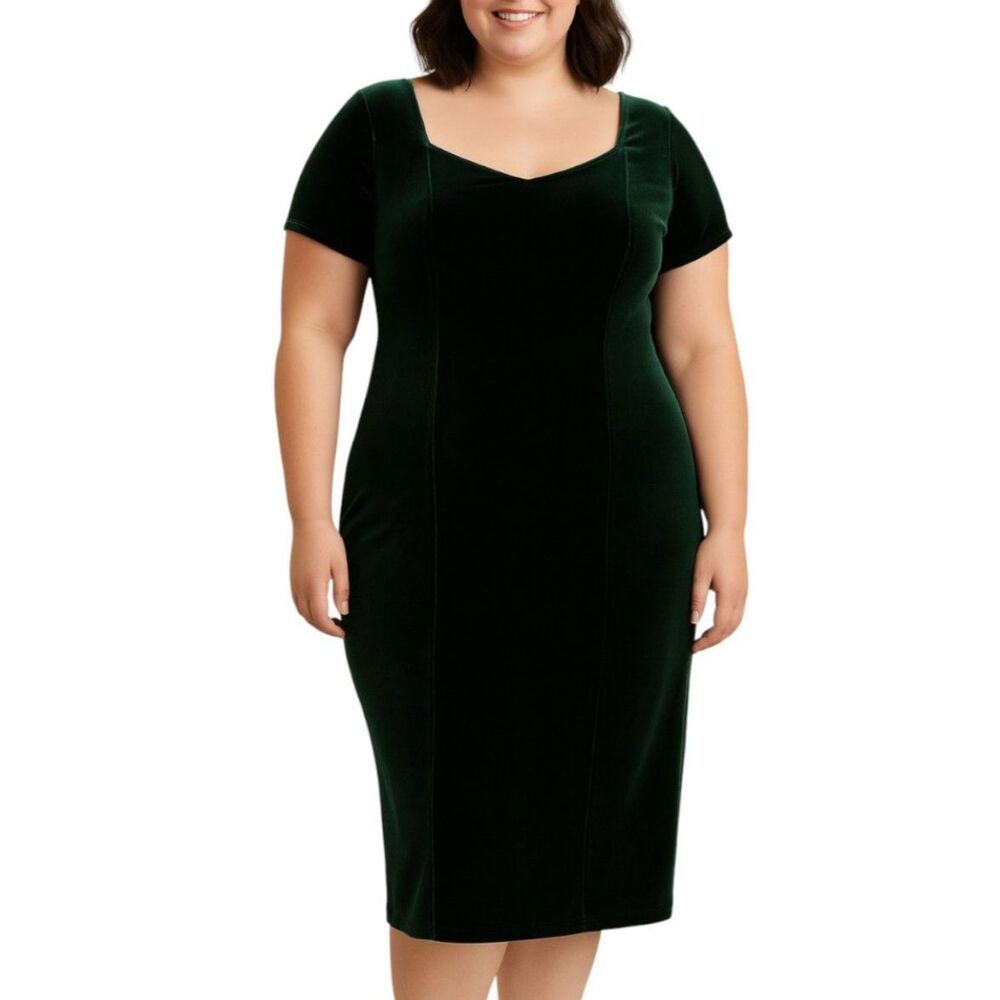 Coldwater Creek Women’s Velvet Short Sleeve Dress | Size P16